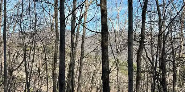 Lot 57C Indian Trail
