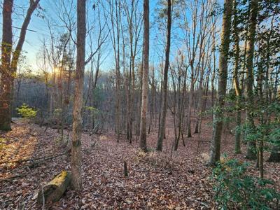 Lot 390 Walhalla Court