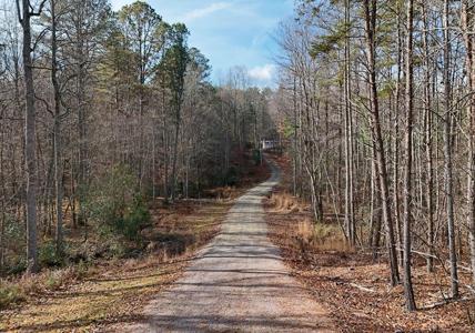 232 Possum Trot Road