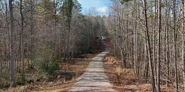 232 Possum Trot Road