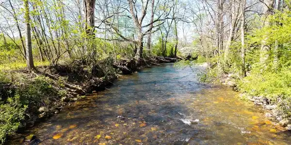 9 Tusquittee Creek Lane