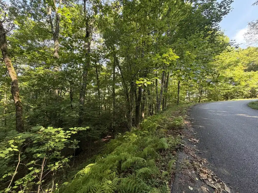 Image 1: Main View