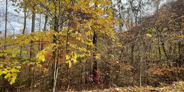 Lot 5A Anns Lane