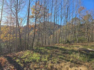 4730 Laurel Mountain Rd