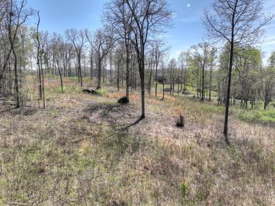 6 Arbor Creek Trail