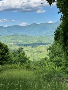 35 Chestnut Mountain Road