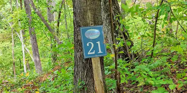 Lot 21 Skyview Overlook