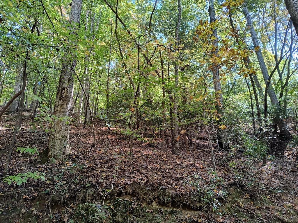 Image 1: Main View