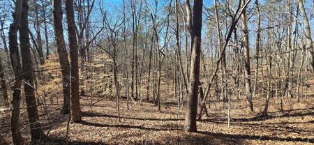 Tract 2 Friendship Trail