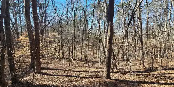 Tract 2 Friendship Trail