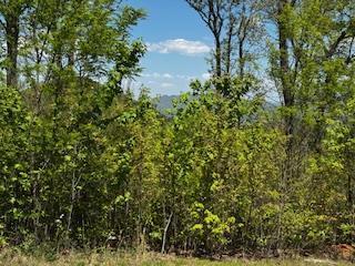 Lot 68 Bowers Road