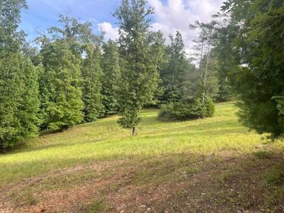 Lot 109 Riverside On Lake Nottely