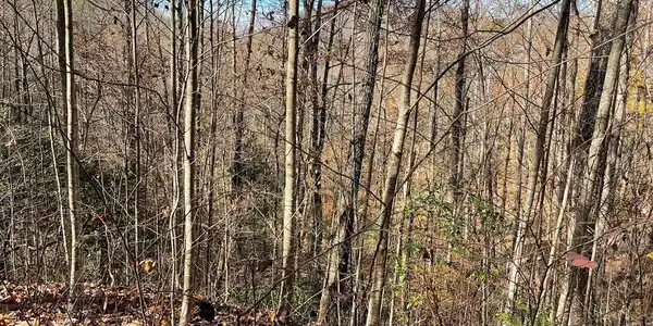 Lot 49J Indian Trail