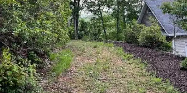 Lot 4&7 Julie Mountain Trail