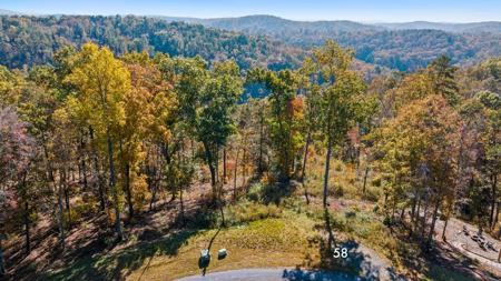 Lot 58 Ridge Line Trail