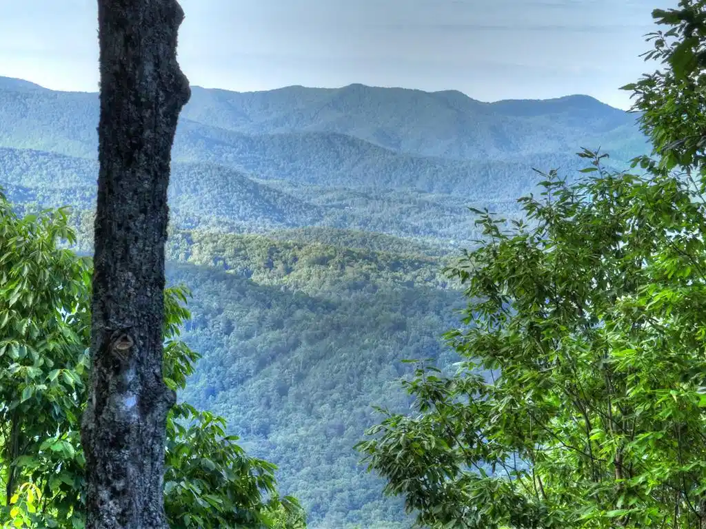 Image 1: Main View