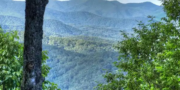 35 Utana Bluff Trails