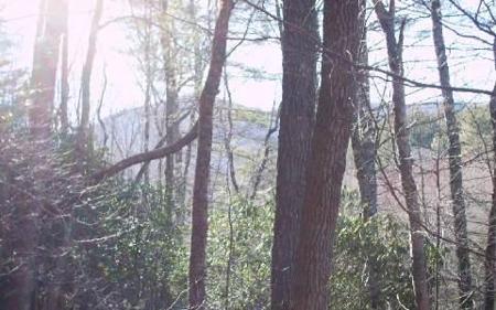 #109 Big Pine Drive