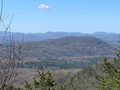 Lot 31 Crested Eagle Lane