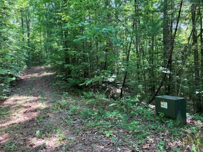 2 View Ridge Trail
