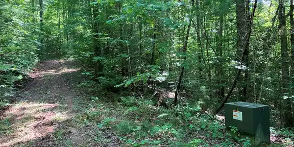 2 View Ridge Trail