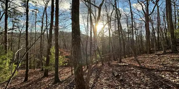 Lot 56 Heards Ridge Road