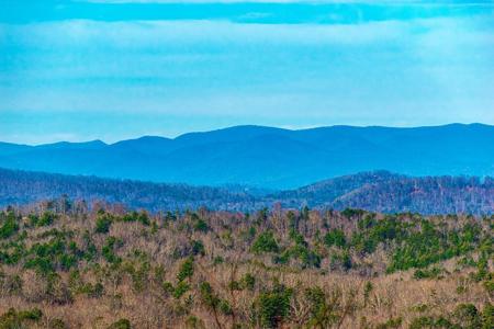 Lot 8 Scouts Overlook