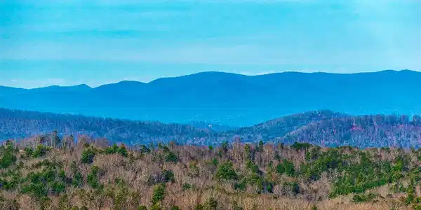 Lot 9 Scouts Overlook