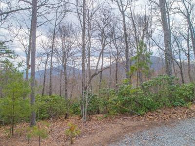 Lot 33 Laurel Brooke S/D