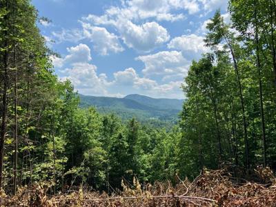 13 View Ridge Trail