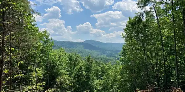 13 View Ridge Trail