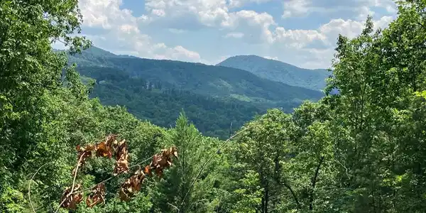 14 View Ridge Trail