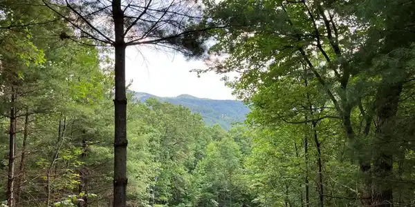 Lt 15 View Ridge Trail
