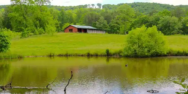 440 Hamby Road