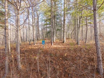 Lt 186 Harris Ridge Lane