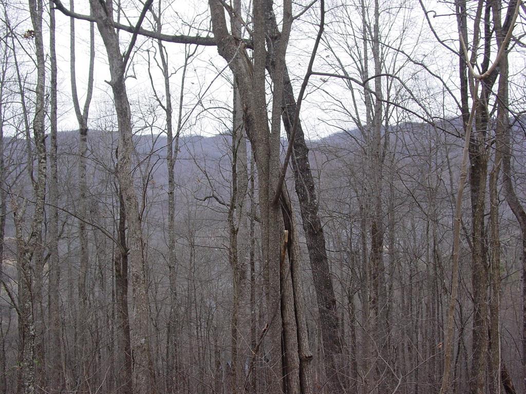 Image 1: Main View