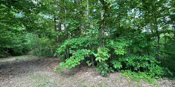 Image 4: Additional View