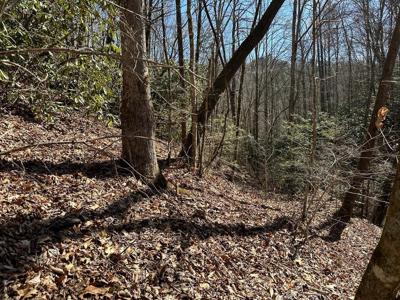 Lot 7 Valley View Heights Lane