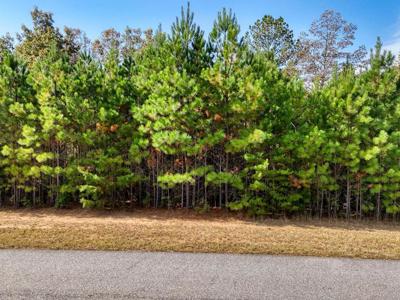 Lot 42 Water Oak Lane