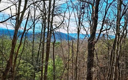 270 Graystone Drive