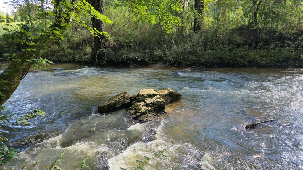 Image 3: Brasstown Creek, Enjoy your very own slice of beautiful Brasstown Creek!