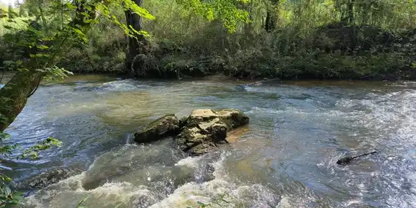 Image 3: Brasstown Creek, Enjoy your very own slice of beautiful Brasstown Creek!