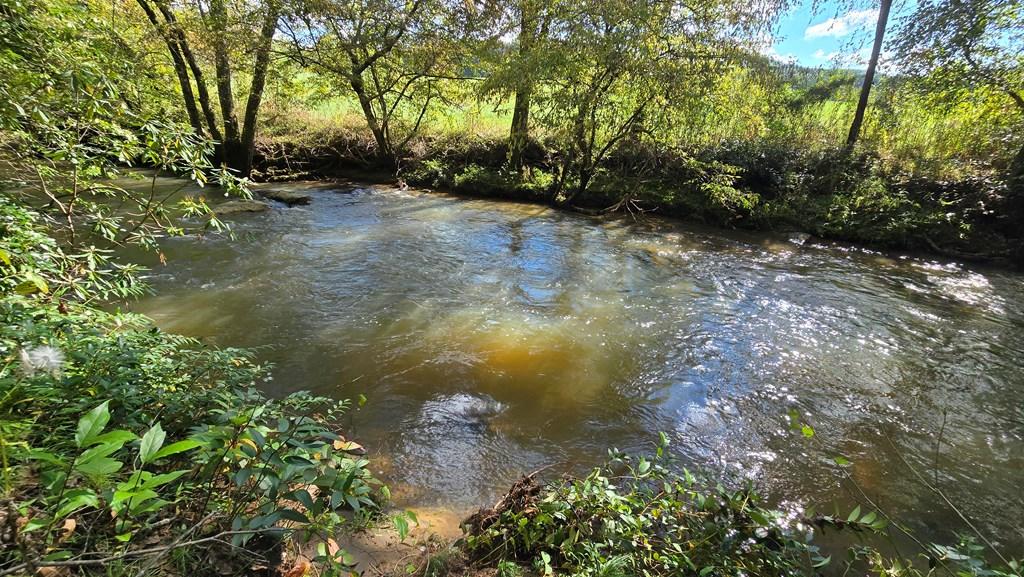 Image 4: 350 Feet of Creek Frontage