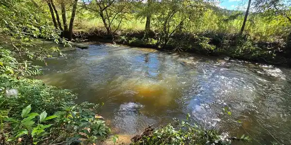 Image 4: 350 Feet of Creek Frontage