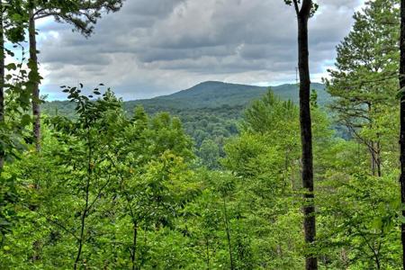 Lot 4 Hemptown Overlook
