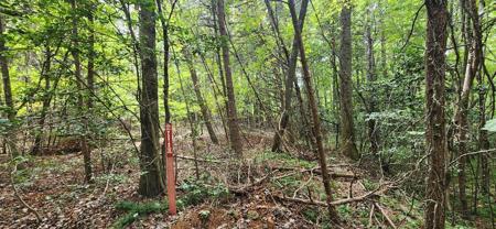 lt 42-43 Old Mill Pond Road