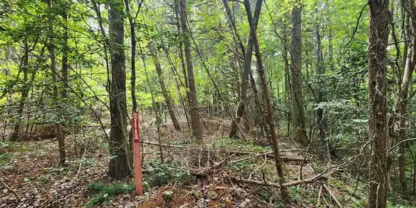 lt 42-43 Old Mill Pond Road