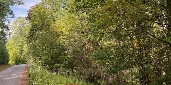 Lot 58 Gobblers Knob