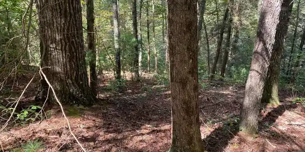 Image 3: Additional View