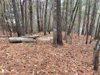 Lot 1375 Lyric Lane
